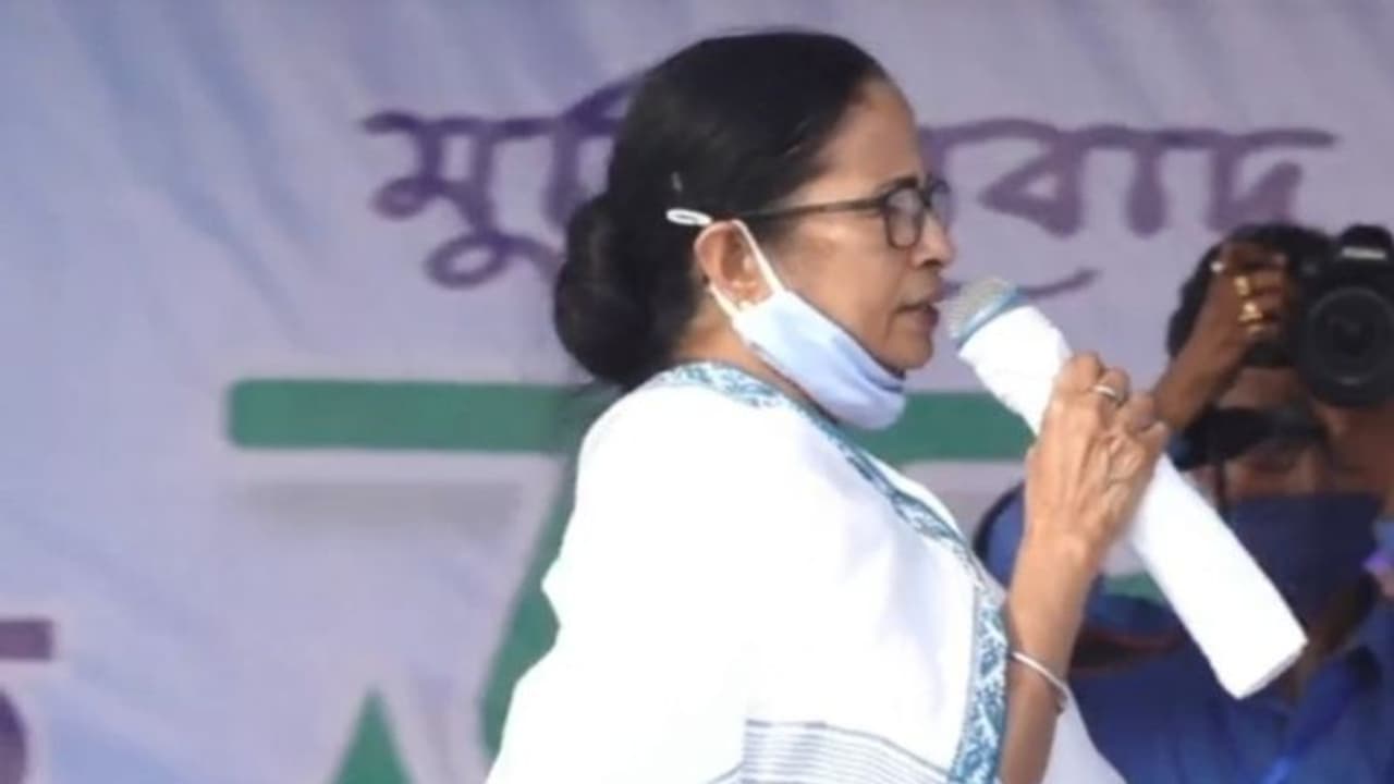 'যতদিন বাঁচবো, রয়্যাল বেঙ্গল টাইগারের মতো বাঁচব', বহরমপুরে বিজেপিকে আক্রমণ করে মন্তব্য মমতার