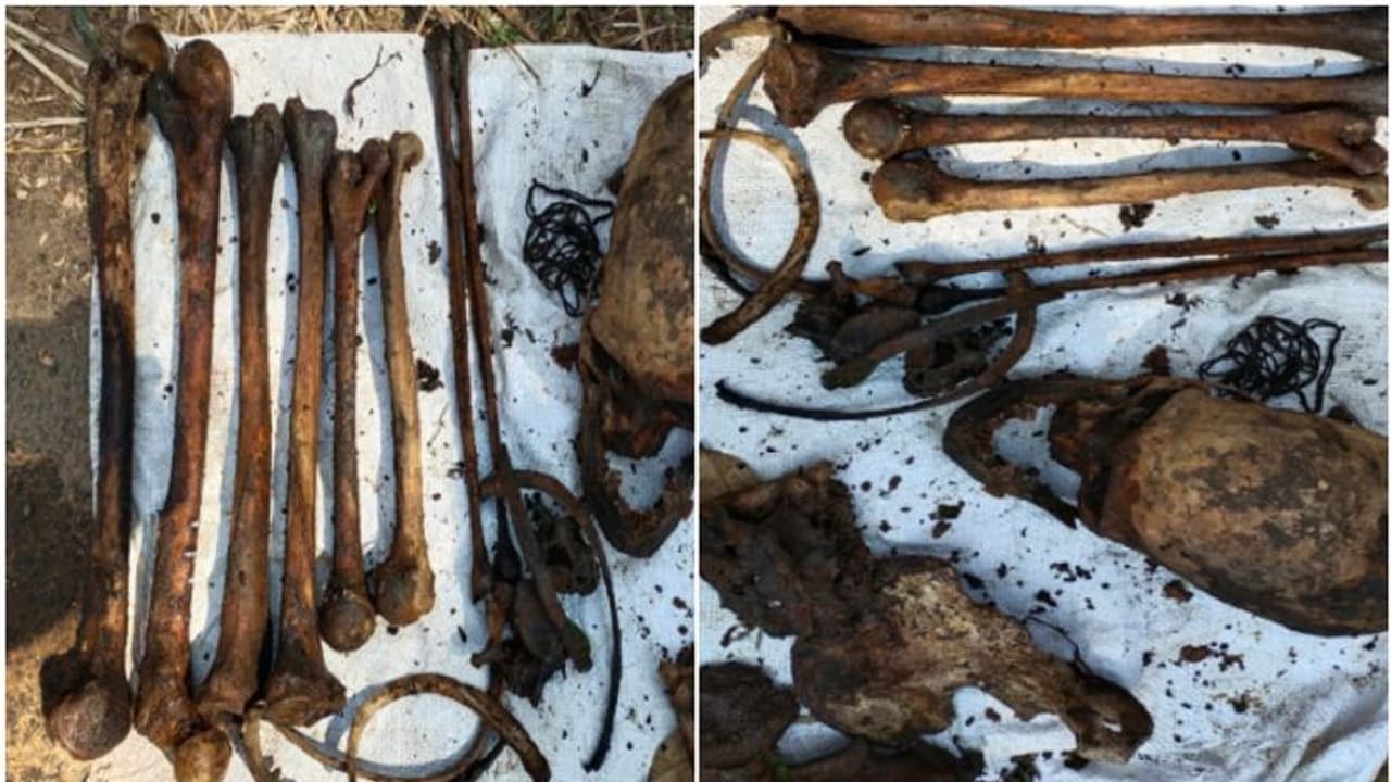 ഭാരതപ്പുഴയില് ചമ്രവട്ടം പാലത്തിന് സമീപം മനുഷ്യന്റെ തലയോട്ടിയും എല്ലുകളും കണ്ടത്തി ഭാരതപ്പുഴയില് ചമ്രവട്ടം പാലത്തിന് സമീപം മനുഷ്യന്റെ തലയോട്ടിയും എല്ലുകളും കണ്ടത്തി