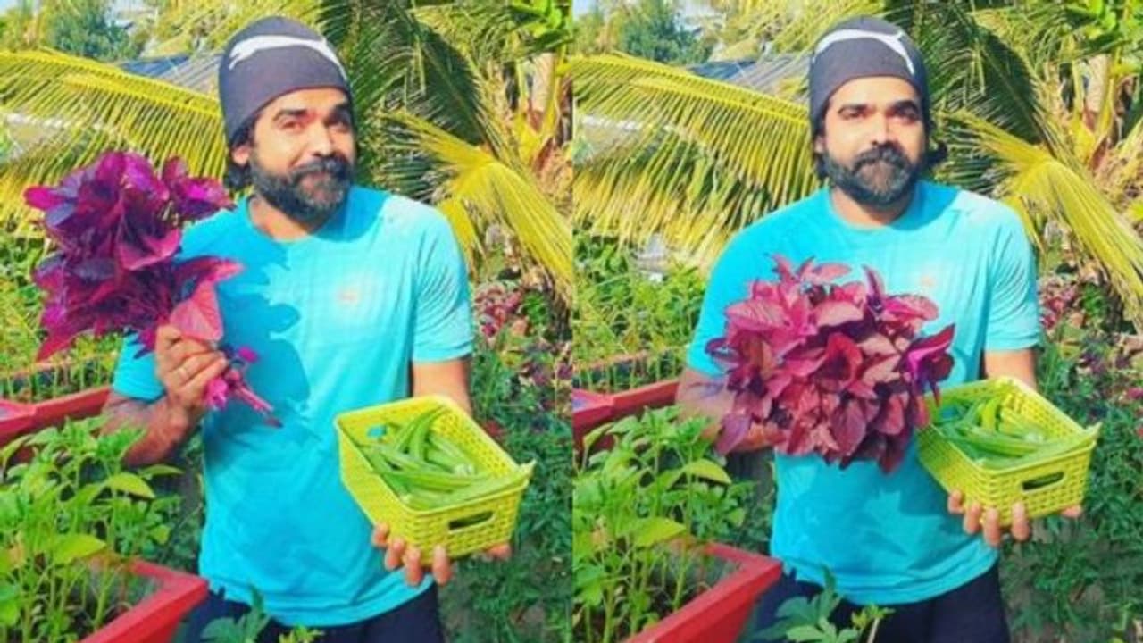 'അടുക്കളത്തോട്ടത്തിലെ നായകന്' ; വെണ്ടക്കയും ചീരയും വിളവെടുത്ത് ദീപന് മുരളി 'അടുക്കളത്തോട്ടത്തിലെ നായകന്' ; വെണ്ടക്കയും ചീരയും വിളവെടുത്ത് ദീപന് മുരളി