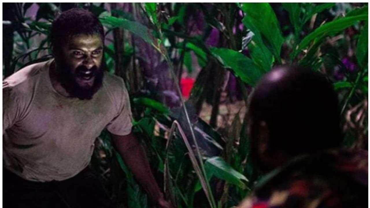 ഓസ്കര് അവാര്ഡ്: അന്തിമ പട്ടികയില് നിന്ന് 'ജല്ലിക്കെട്ട്' പുറത്ത് ഓസ്കര് അവാര്ഡ്: അന്തിമ പട്ടികയില് നിന്ന് 'ജല്ലിക്കെട്ട്' പുറത്ത്