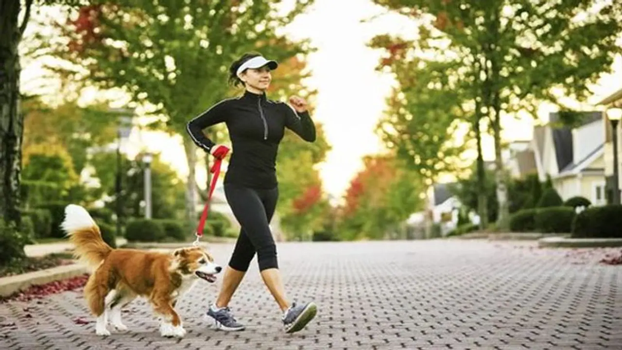 সাবধান, ঘুম থেকে উঠেই ভোরবেলা হাঁটতে যাচ্ছেন, এই বিষয়গুলি ভুলে গেলেই ঘটে যাবে চরম বিপদ সাবধান, ঘুম থেকে উঠেই ভোরবেলা হাঁটতে যাচ্ছেন, এই বিষয়গুলি ভুলে গেলেই ঘটে যাবে চরম বিপদ