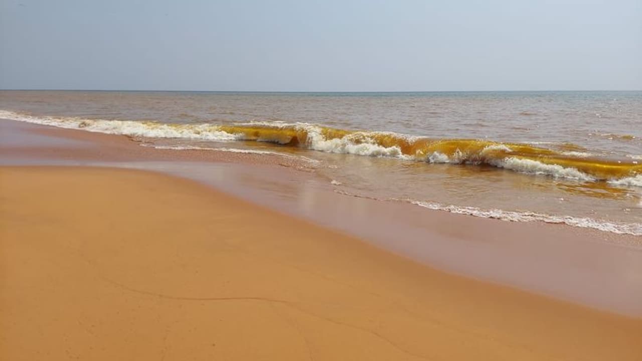 ಭಟ್ಕಳ: ಮುರ್ಡೇಶ್ವರದಲ್ಲಿ ಈಜಲಿಳಿದ ನಾಲ್ವರಲ್ಲಿ ಇಬ್ಬರು ನೀರುಪಾಲು ಭಟ್ಕಳ: ಮುರ್ಡೇಶ್ವರದಲ್ಲಿ ಈಜಲಿಳಿದ ನಾಲ್ವರಲ್ಲಿ ಇಬ್ಬರು ನೀರುಪಾಲು