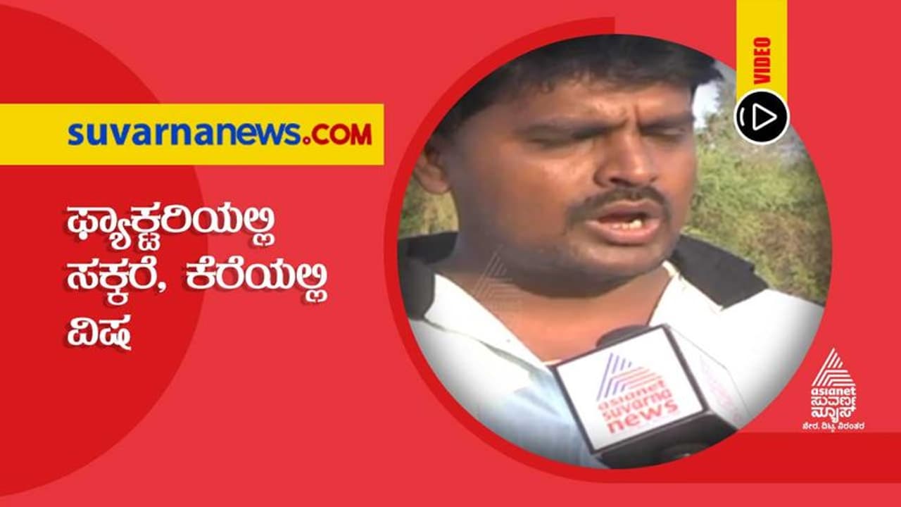 ಫ್ಯಾಕ್ಟರಿಯಲ್ಲಿ ಸಕ್ಕರೆ, ಕೆರೆಯಲ್ಲಿ ವಿಷ: ರೈತರ ಅನ್ನಕ್ಕೆ ಲಕ್ಷ್ಮೀ ಹೆಬ್ಬಾಳ್ಕರ್ ಕನ್ನ! ಫ್ಯಾಕ್ಟರಿಯಲ್ಲಿ ಸಕ್ಕರೆ, ಕೆರೆಯಲ್ಲಿ ವಿಷ: ರೈತರ ಅನ್ನಕ್ಕೆ ಲಕ್ಷ್ಮೀ ಹೆಬ್ಬಾಳ್ಕರ್ ಕನ್ನ!