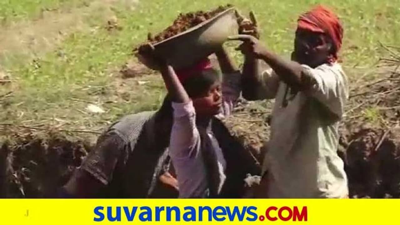 ಬಿಟೆಕ್, ಡಿಪ್ಲೋಮಾ ಬಾಕಿ ಶುಲ್ಕ ಪಾವತಿಗೆ ನರೇಗಾದಲ್ಲಿ ಬೆವರು ಹರಿಸುತ್ತಿರುವ ಸೋದರಿಯರು