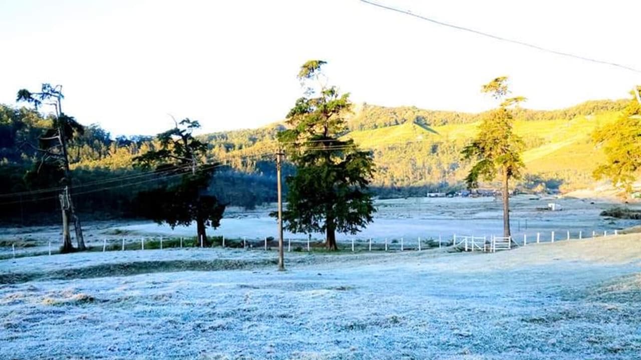 സന്ദർശകർക്ക് കാഴ്ചയൊരുക്കി മഞ്ഞുപുതച്ച് മൂന്നാർ; കർഷകർക്ക് തിരിച്ചടി സന്ദർശകർക്ക് കാഴ്ചയൊരുക്കി മഞ്ഞുപുതച്ച് മൂന്നാർ; കർഷകർക്ക് തിരിച്ചടി