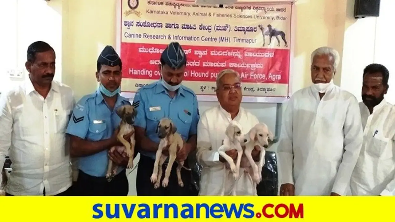 ವಾಯುಪಡೆಯಲ್ಲೂ ಸೇವೆ ಸಲ್ಲಿಸಲು ಹೊರಟ ಮುಧೋಳ ಶ್ವಾನಗಳು..! ವಾಯುಪಡೆಯಲ್ಲೂ ಸೇವೆ ಸಲ್ಲಿಸಲು ಹೊರಟ ಮುಧೋಳ ಶ್ವಾನಗಳು..!