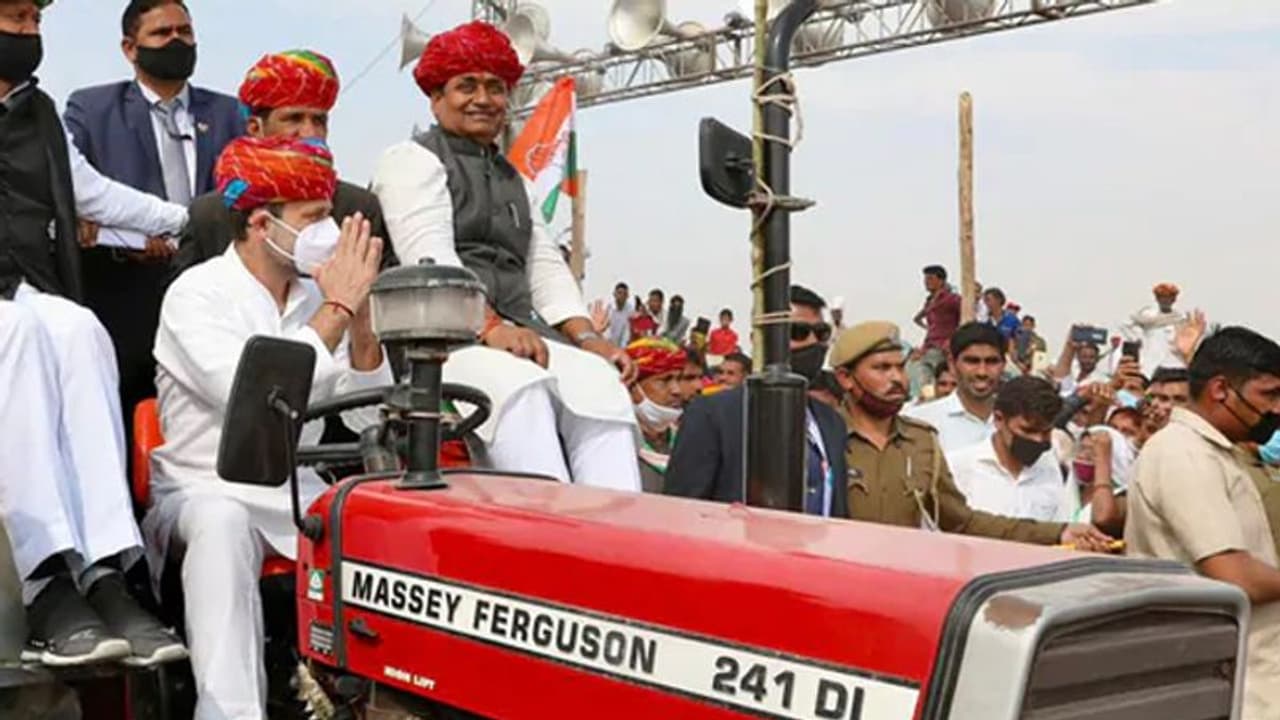 రాజస్థానీ స్టైల్లో నెత్తిన తలపాగా.. ట్రాక్టర్ నడుపుకుంటూ సభకు రాహుల్ రాజస్థానీ స్టైల్లో నెత్తిన తలపాగా.. ట్రాక్టర్ నడుపుకుంటూ సభకు రాహుల్