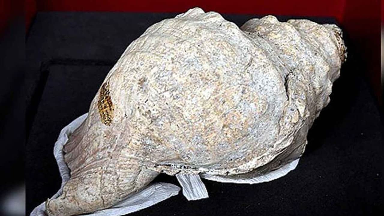 পথে পড়ে থাকা এই জিনিসগুলি দর্শণ ভাগ্য উজ্জ্বল করে, জেনে নিন কি করবেন