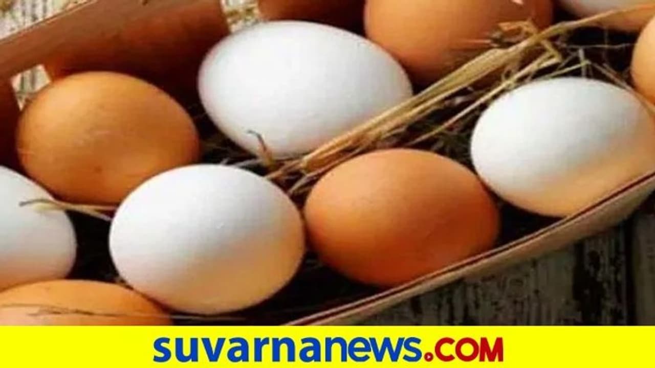 ಸಮಸ್ಯೆ ಉದ್ಭವ : ಮೊಟ್ಟೆ ವಿತರಣೆ ಸ್ಥಗಿತ ಸಮಸ್ಯೆ ಉದ್ಭವ : ಮೊಟ್ಟೆ ವಿತರಣೆ ಸ್ಥಗಿತ