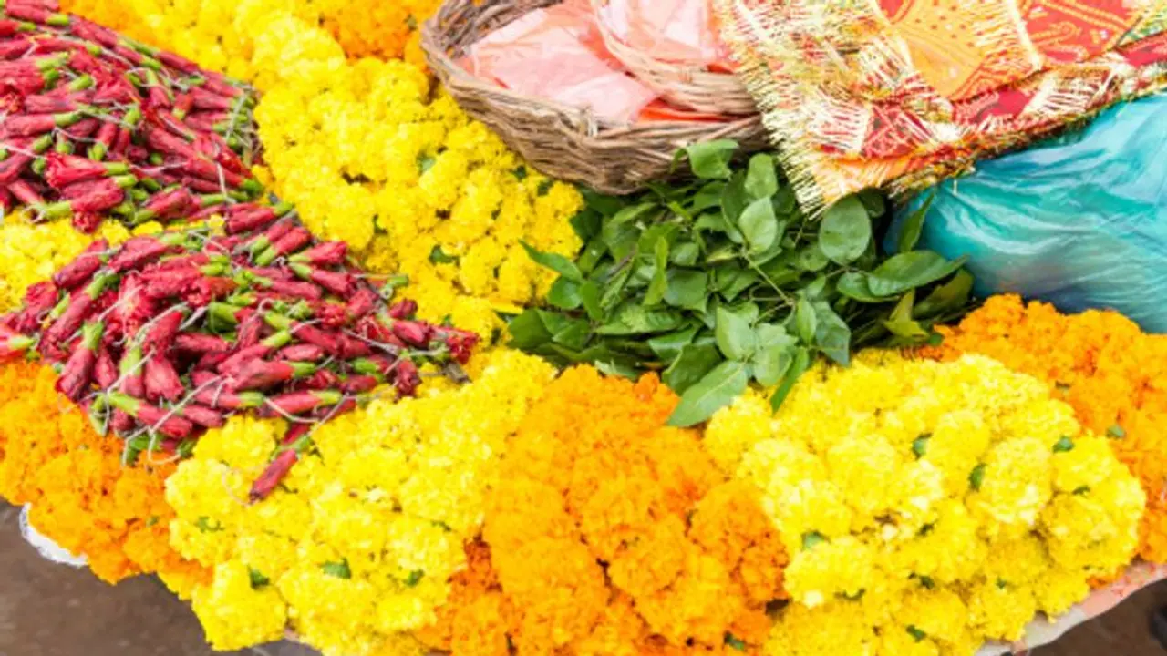 শিবপুজোয় বেলপাতা নিবেদন করেন তো, জেনে নিন সঠিক নিয়ম ও ব্যবহার শিবপুজোয় বেলপাতা নিবেদন করেন তো, জেনে নিন সঠিক নিয়ম ও ব্যবহার