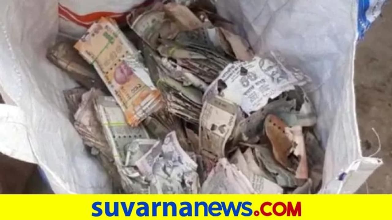 ಟ್ರಂಕ್‌ನಲ್ಲಿಟ್ಟಿದ್ದ ಜೀವಮಾನದ ಪೂರ್ತಿ ಸಂಪಾದನೆ ಸ್ವಾಹಾ ಮಾಡಿದ ಗೆದ್ದಲು