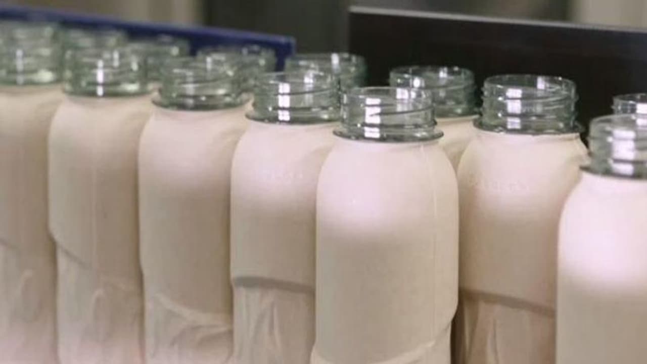 दुनिया में सबसे ज्यादा गंदगी फैलाता है कोका कोला, अब प्लास्टिक की बोतल नहीं, इस तरह बेचेगा कोल्ड ड्रिंक दुनिया में सबसे ज्यादा गंदगी फैलाता है कोका कोला, अब प्लास्टिक की बोतल नहीं, इस तरह बेचेगा कोल्ड ड्रिंक