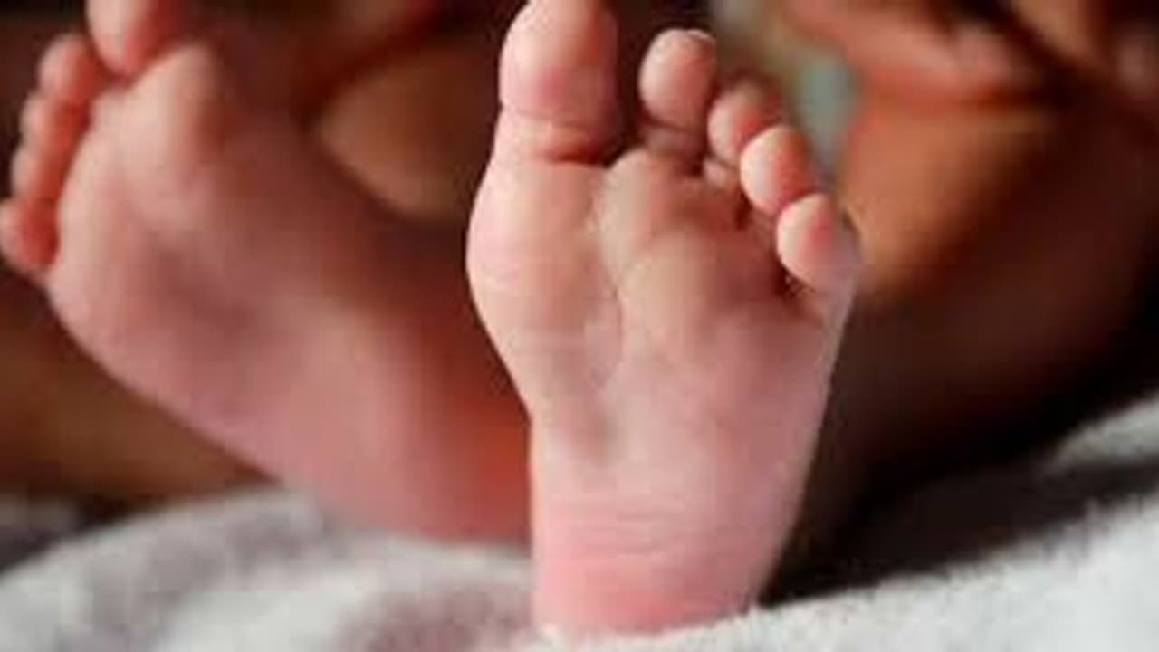 కరోనా విషాదం : రెండు రోజులుగా తల్లి శవంపక్కనే 18నెలల పాపాయి.. గుక్కపట్టి ఏడుస్తున్నా... !! కరోనా విషాదం : రెండు రోజులుగా తల్లి శవంపక్కనే 18నెలల పాపాయి.. గుక్కపట్టి ఏడుస్తున్నా... !!