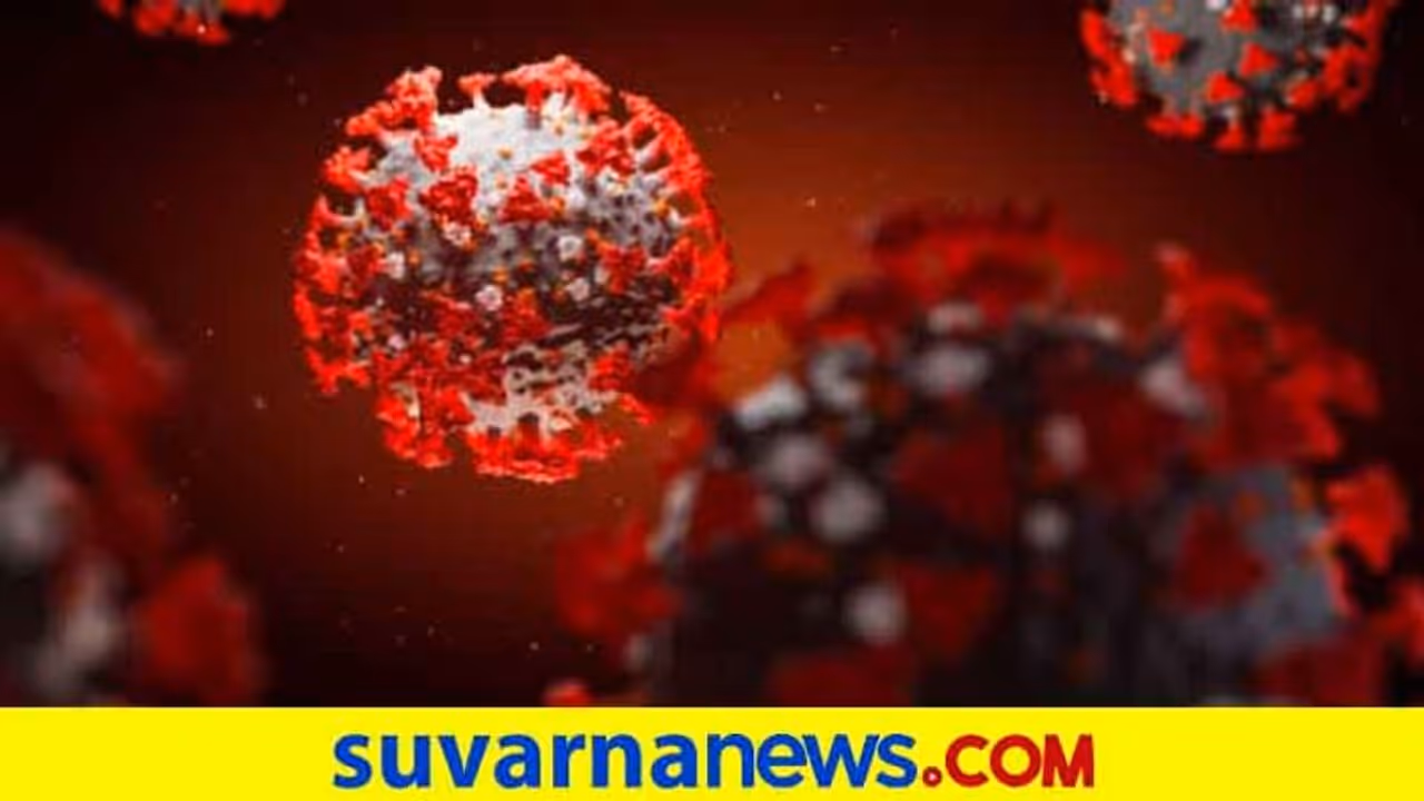 ಶ್ವಾಸಕೋಶದ ಮೇಲೆ ಕೊರೋನಾ ಎಫೆಕ್ಟ್ ಪತ್ತೆಗೆ IISC ತಂತ್ರಾಂಶ ಶ್ವಾಸಕೋಶದ ಮೇಲೆ ಕೊರೋನಾ ಎಫೆಕ್ಟ್ ಪತ್ತೆಗೆ IISC ತಂತ್ರಾಂಶ