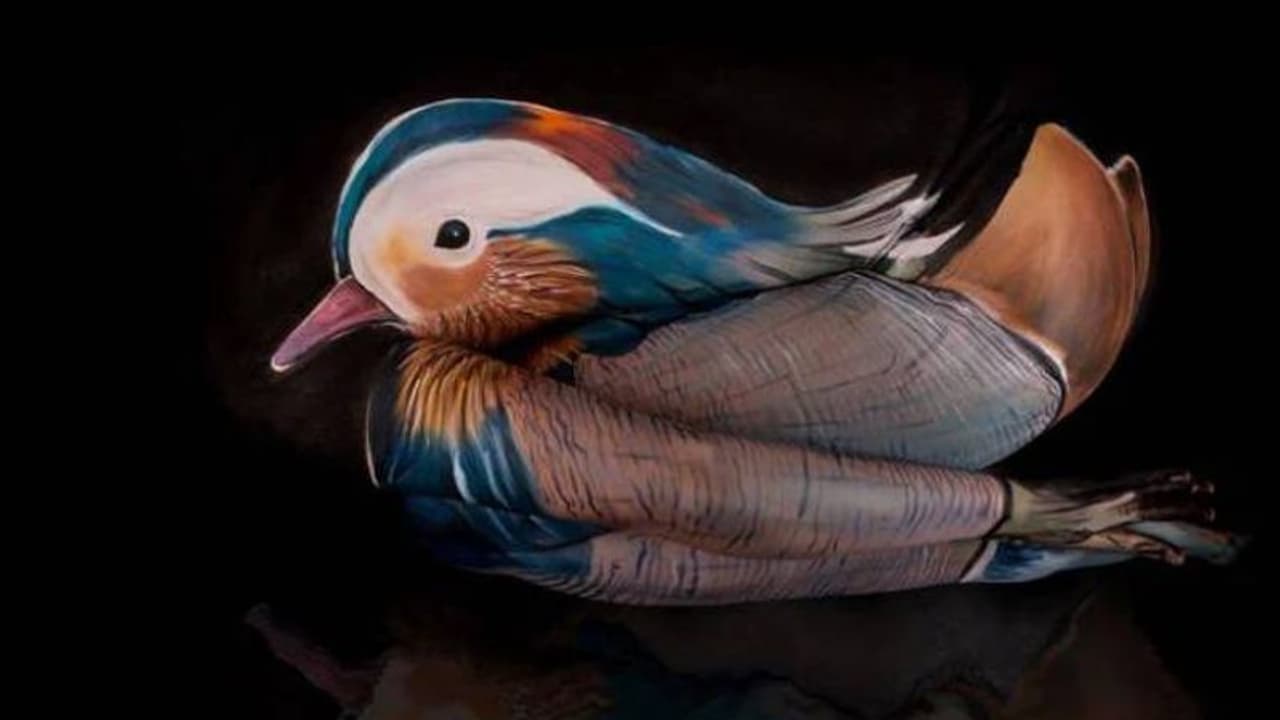 ഈ ചിത്രങ്ങൾ വരച്ചിരിക്കുന്നത് മനുഷ്യശരീരങ്ങളിൽ!