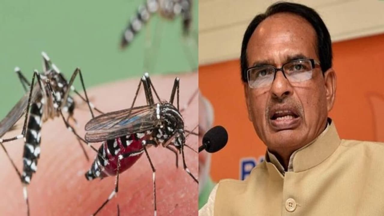 'शिव'की नींद में मच्छरों का खललः रातभर सो ना सके, 4 बजे टंकी से गिर रहे पानी को CM ने कराया बंद 'शिव'की नींद में मच्छरों का खललः रातभर सो ना सके, 4 बजे टंकी से गिर रहे पानी को CM ने कराया बंद