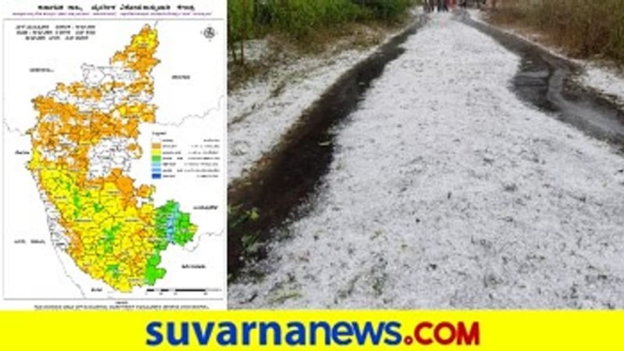 ಅಕಾಲಿಕ ಮಳೆಗೆ ತತ್ತರಿಸಿದ ಕರುನಾಡು : ಅಪಾರ ಬೆಳೆ ನಷ್ಟ ಅಕಾಲಿಕ ಮಳೆಗೆ ತತ್ತರಿಸಿದ ಕರುನಾಡು : ಅಪಾರ ಬೆಳೆ ನಷ್ಟ