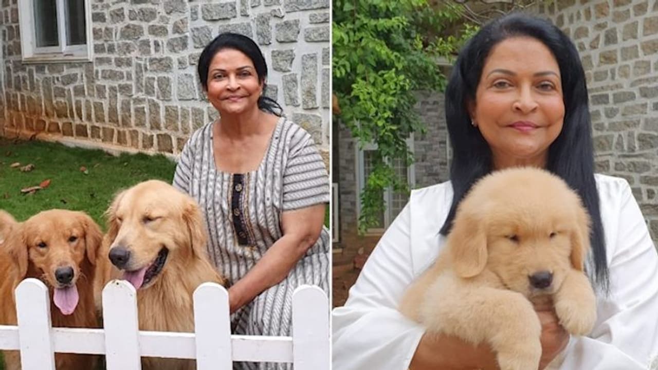 Meet Yashodhara, India's most reputed dog breeder, on 'ethical breeding', nurturing animals Meet Yashodhara, India's most reputed dog breeder, on 'ethical breeding', nurturing animals