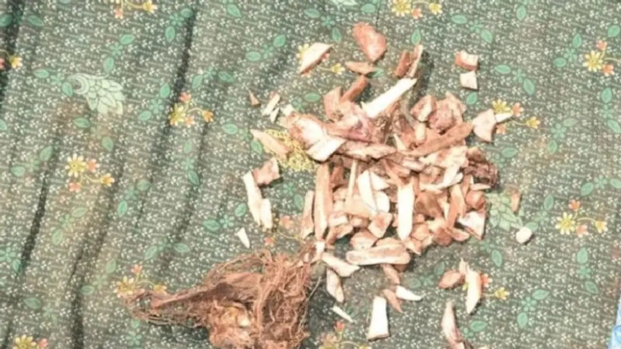 मर गई इंसानियत: सड़क पर 2 दिन पड़ा रहा बुजुर्ग का शव, हड्डियां बनीं चूरमा..कपड़े में बांधकर ले जाना पड़ा