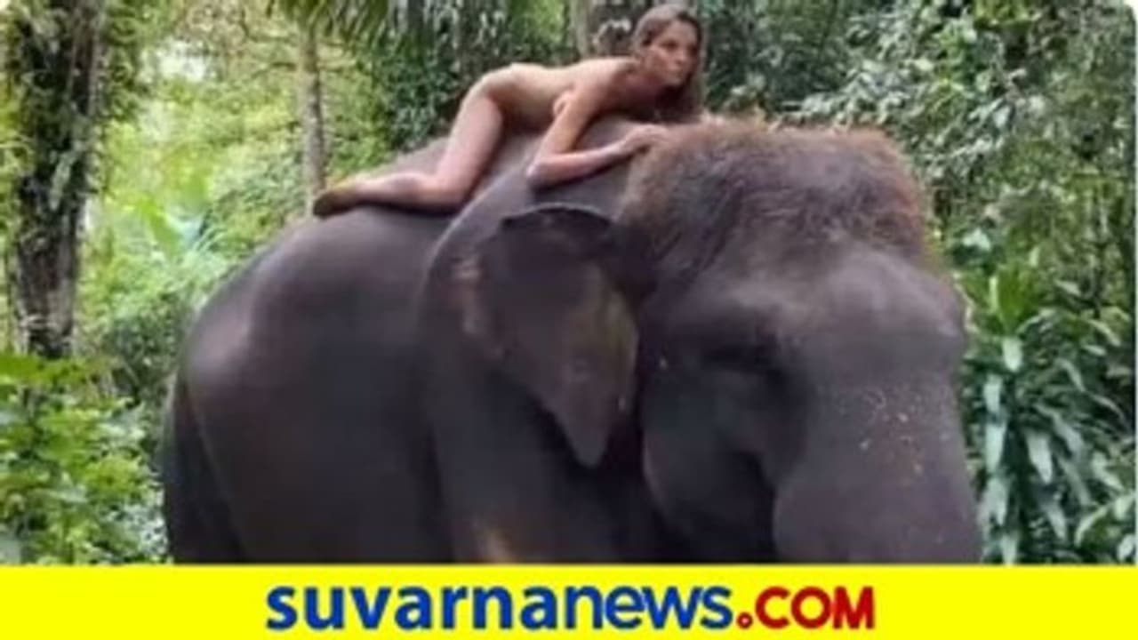 ಆನೆ ಬಂತೊಂದು ಆನೆ.. ಜೊತೆಗೆ ಬೆತ್ತಲೆ ರಾಣಿನೂ ಬಂದ್ರು!