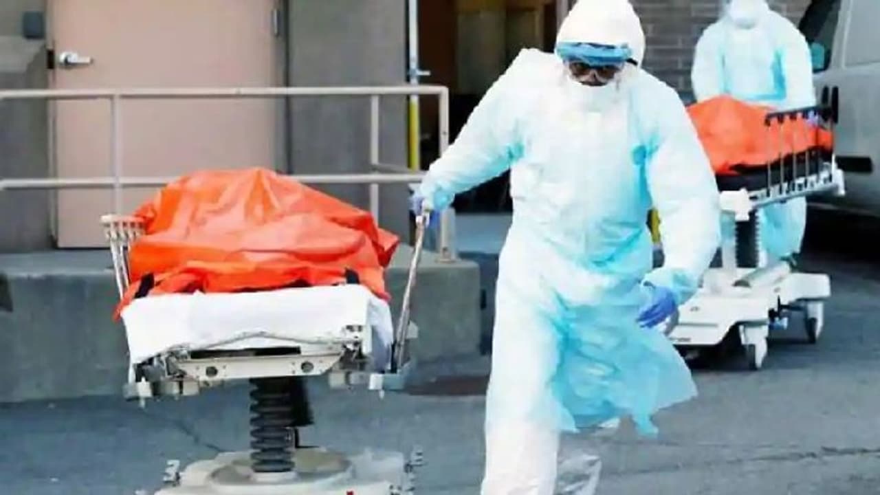 യുഎസില് കൊവിഡ് മരണം അഞ്ച് ലക്ഷത്തിനടുത്തെത്തുന്നു; ഭയാനകമായ അവസ്ഥയെന്ന് സർക്കാർ യുഎസില് കൊവിഡ് മരണം അഞ്ച് ലക്ഷത്തിനടുത്തെത്തുന്നു; ഭയാനകമായ അവസ്ഥയെന്ന് സർക്കാർ