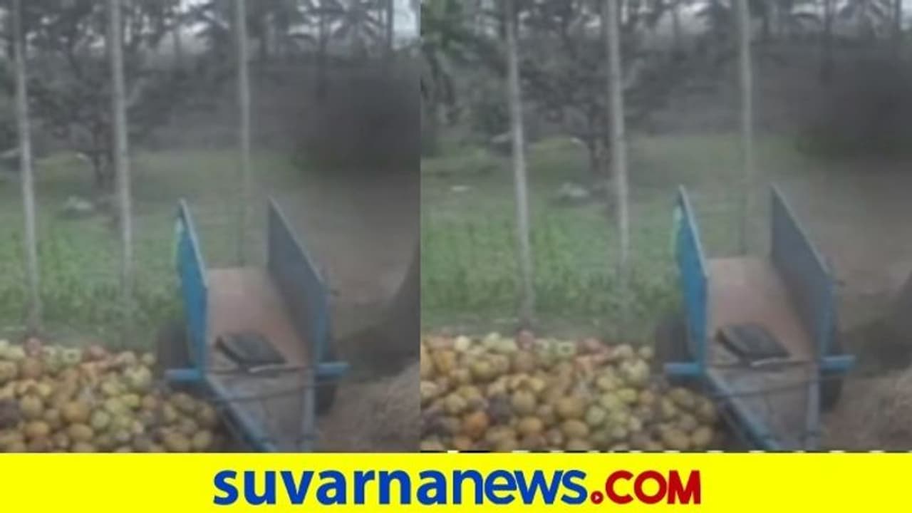 ಮಂಡ್ಯ ಜಿಲ್ಲೆಯಲ್ಲಿ ಆತಂಕ ಹುಟ್ಟಿಸಿದ ನಿಗೂಢ ದೃಶ್ಯ : ಬೆಚ್ಚಿದ ಜನ ಮಂಡ್ಯ ಜಿಲ್ಲೆಯಲ್ಲಿ ಆತಂಕ ಹುಟ್ಟಿಸಿದ ನಿಗೂಢ ದೃಶ್ಯ : ಬೆಚ್ಚಿದ ಜನ