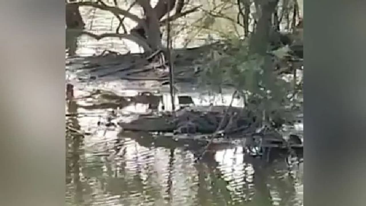 വര്ഷങ്ങളായി ചെളിക്കുണ്ടില് കുടുങ്ങിക്കിടന്ന ചീങ്കണ്ണിക്ക് ഒടുവില് രക്ഷ... വര്ഷങ്ങളായി ചെളിക്കുണ്ടില് കുടുങ്ങിക്കിടന്ന ചീങ്കണ്ണിക്ക് ഒടുവില് രക്ഷ...