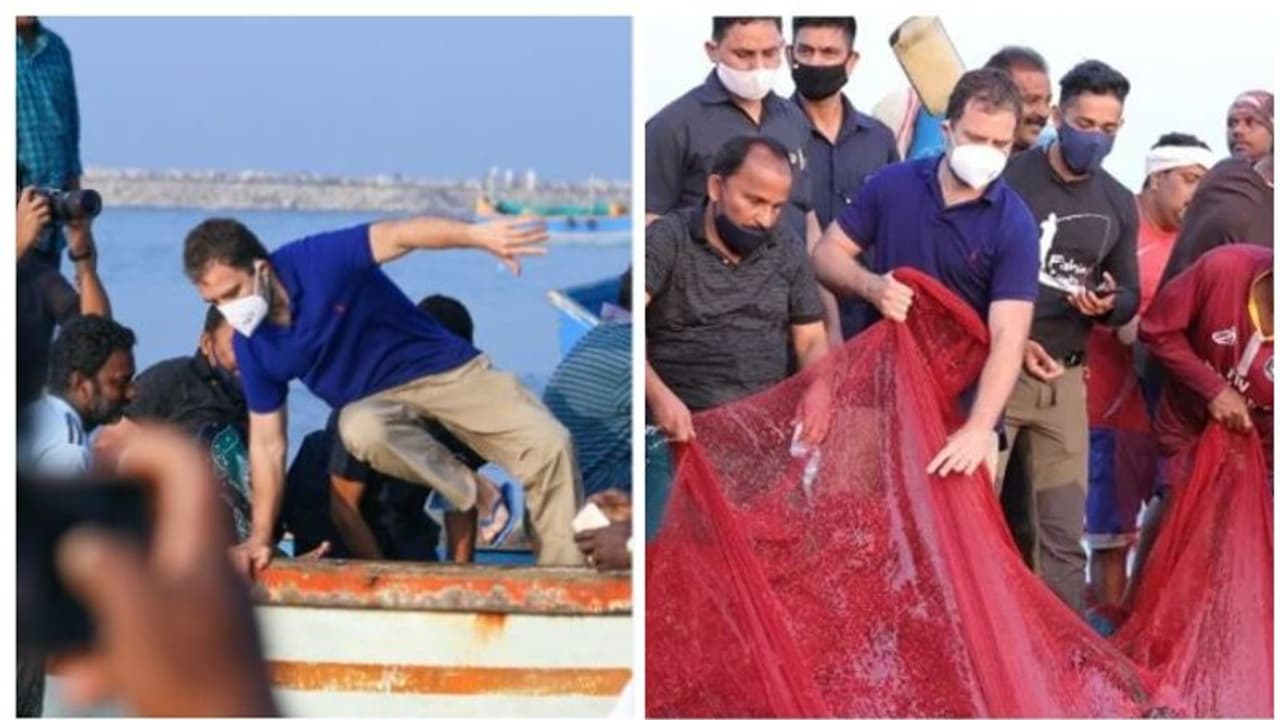 'മത്സ്യത്തൊഴിലാളികൾക്ക് പ്രകടന പത്രികയിൽ പ്രത്യേക പരിഗണന', പ്രശ്നങ്ങൾ നേരിട്ട് അറിഞ്ഞ് രാഹുൽ ഗാന്ധി 'മത്സ്യത്തൊഴിലാളികൾക്ക് പ്രകടന പത്രികയിൽ പ്രത്യേക പരിഗണന', പ്രശ്നങ്ങൾ നേരിട്ട് അറിഞ്ഞ് രാഹുൽ ഗാന്ധി