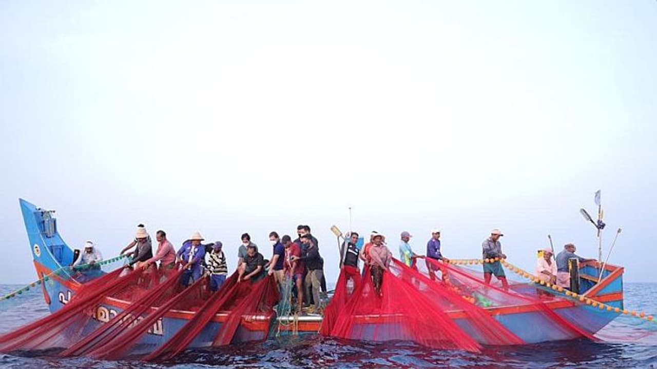 Sagarmitra appointment : ഫിഷറീസ് പ്രൊഫഷണലുകൾക്ക് സാഗർമിത്ര നിയമനം; മത്സ്യഗ്രാമത്തിലുള്ളവർക്ക് മുൻഗണന Sagarmitra appointment : ഫിഷറീസ് പ്രൊഫഷണലുകൾക്ക് സാഗർമിത്ര നിയമനം; മത്സ്യഗ്രാമത്തിലുള്ളവർക്ക് മുൻഗണന