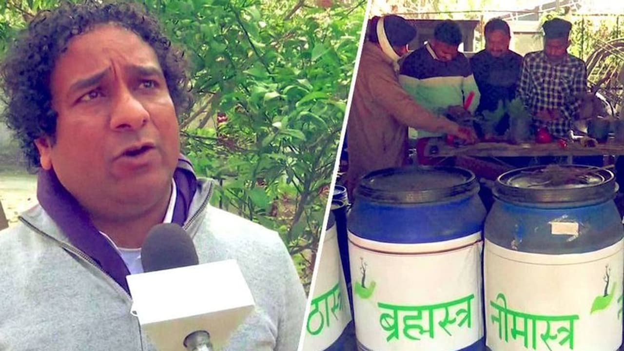 ചെടികളെ ചികിത്സിക്കാനും ഒരു ആശുപത്രിയോ? ലോകത്തിലെ ആദ്യ ട്രീ ക്ലിനിക്ക് ഇതാണോ? ചെടികളെ ചികിത്സിക്കാനും ഒരു ആശുപത്രിയോ? ലോകത്തിലെ ആദ്യ ട്രീ ക്ലിനിക്ക് ഇതാണോ?