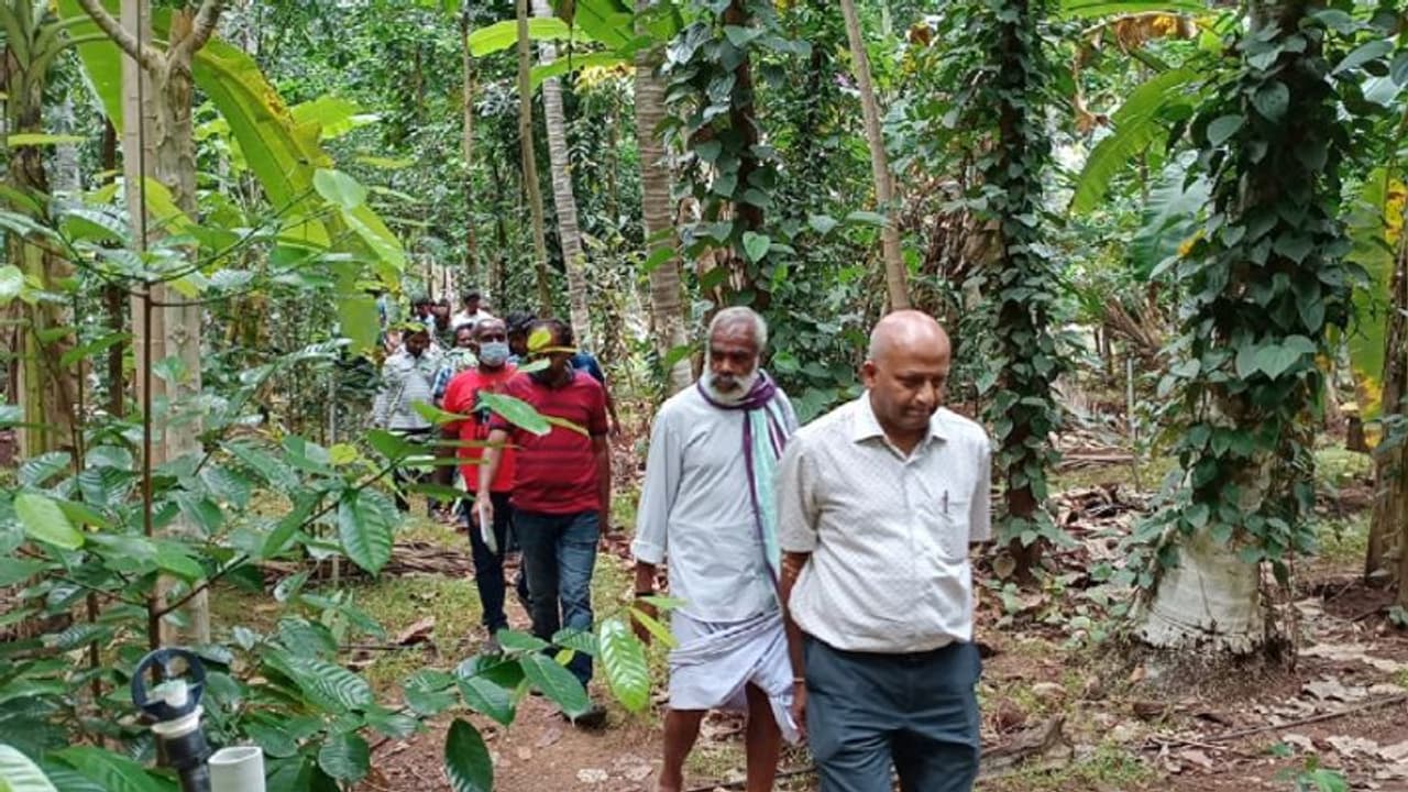 ஈஷா சார்பில் முன்னோடி விவசாயிகளின் தோட்டங்களுக்கு இயற்கை விவசாய சுற்றுலா.! பல்வேறு மாவட்ட விவசாயிகள் பங்கேற்பு ஈஷா சார்பில் முன்னோடி விவசாயிகளின் தோட்டங்களுக்கு இயற்கை விவசாய சுற்றுலா.! பல்வேறு மாவட்ட விவசாயிகள் பங்கேற்பு