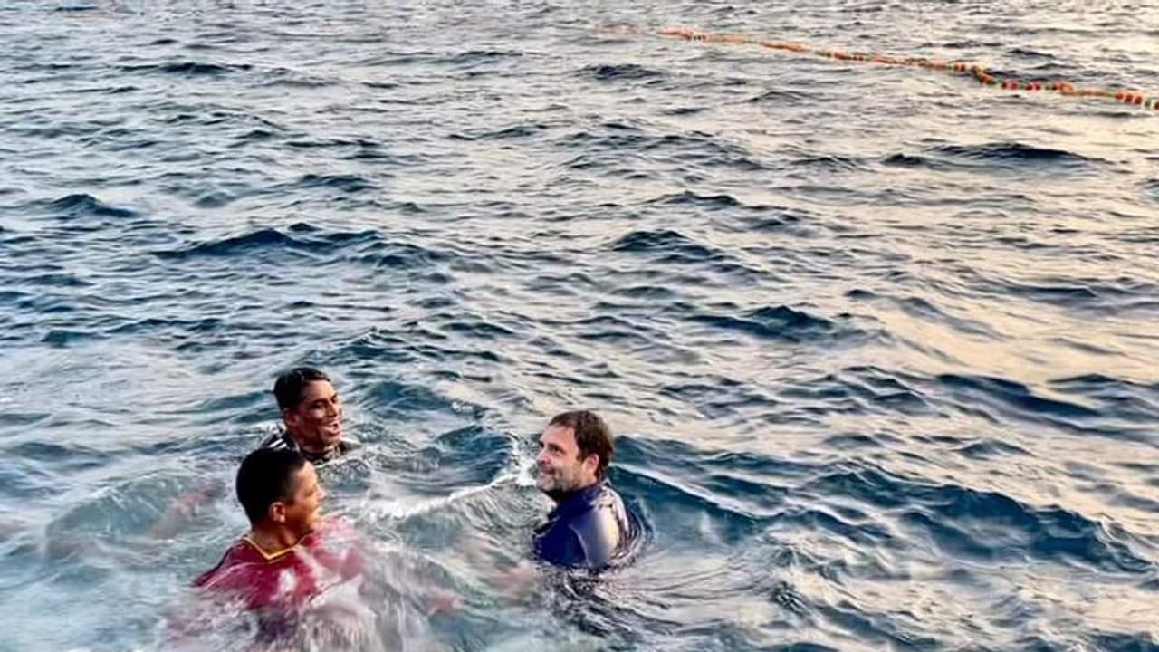 సరదా: సముద్రంలో ఈతకొట్టిన రాహుల్ గాంధీ సరదా: సముద్రంలో ఈతకొట్టిన రాహుల్ గాంధీ