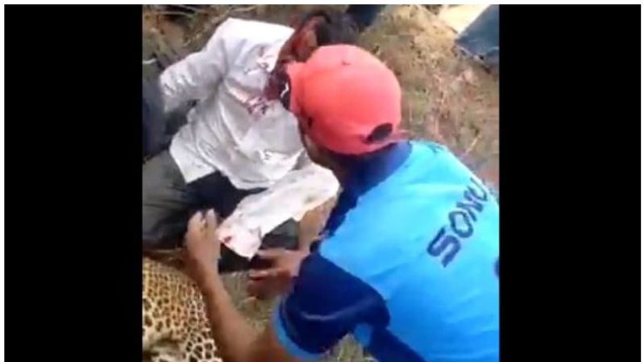 മകളെ ആക്രമിച്ച പുലിയെ അച്ഛന് കഴുത്ത് ഞെരിച്ച് കൊന്നു വീഡിയോ മകളെ ആക്രമിച്ച പുലിയെ അച്ഛന് കഴുത്ത് ഞെരിച്ച് കൊന്നു വീഡിയോ