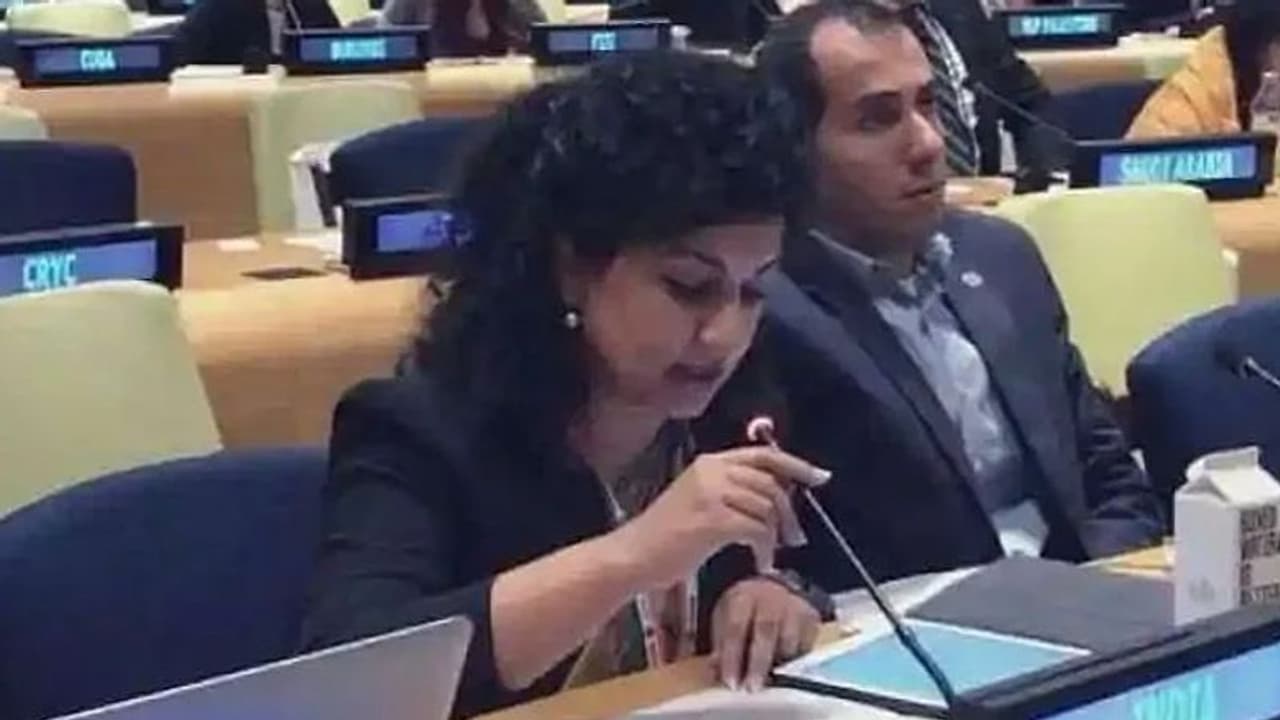 कश्मीर पर किया कमेंट तो भारत ने UNHRC में पाकिस्तान और तुर्की को लगाई लताड़, बोले अपनी गिरेबान में झांके कश्मीर पर किया कमेंट तो भारत ने UNHRC में पाकिस्तान और तुर्की को लगाई लताड़, बोले अपनी गिरेबान में झांके