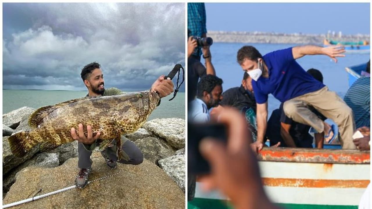 'ഫിഷിംഗ് ഫ്രീക്കനാ'യി രാഹുൽ ഗാന്ധി: വ്ലോഗ് ഇറങ്ങി 'ഫിഷിംഗ് ഫ്രീക്കനാ'യി രാഹുൽ ഗാന്ധി: വ്ലോഗ് ഇറങ്ങി