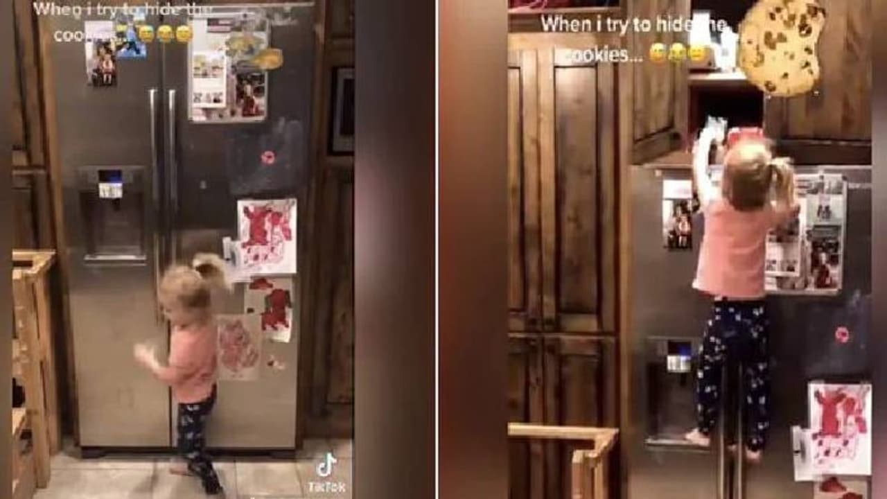 അമ്മ ഒളിപ്പിച്ച കുക്കീസ് എടുക്കാൻ ഫ്രിഡ്ജിന് മുകളിൽ കയറുന്ന മൂന്ന് വയസുകാരി; വൈറലായി വീഡിയോ അമ്മ ഒളിപ്പിച്ച കുക്കീസ് എടുക്കാൻ ഫ്രിഡ്ജിന് മുകളിൽ കയറുന്ന മൂന്ന് വയസുകാരി; വൈറലായി വീഡിയോ