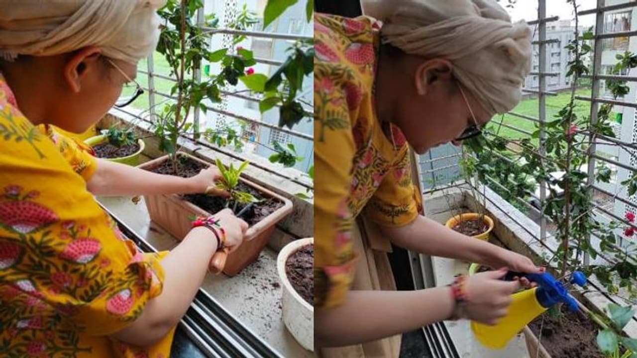 അർബുദം കീഴടക്കാനെത്തിയിട്ടും വിശ്രമമില്ല, രണ്ട് വർഷത്തിനിടെ നട്ടത് 30,000 മരങ്ങൾ അർബുദം കീഴടക്കാനെത്തിയിട്ടും വിശ്രമമില്ല, രണ്ട് വർഷത്തിനിടെ നട്ടത് 30,000 മരങ്ങൾ