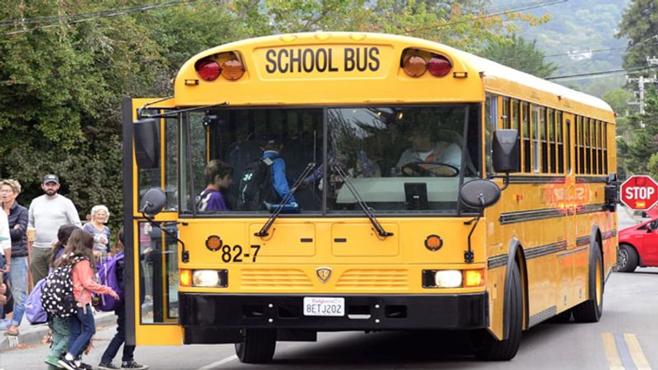 স্কুলবাস থেকে নামতেই পেটের ওপর দিয়ে চলে গেল চাকা, মর্মান্তিক মৃত্যু চার বছরের শিশুর স্কুলবাস থেকে নামতেই পেটের ওপর দিয়ে চলে গেল চাকা, মর্মান্তিক মৃত্যু চার বছরের শিশুর