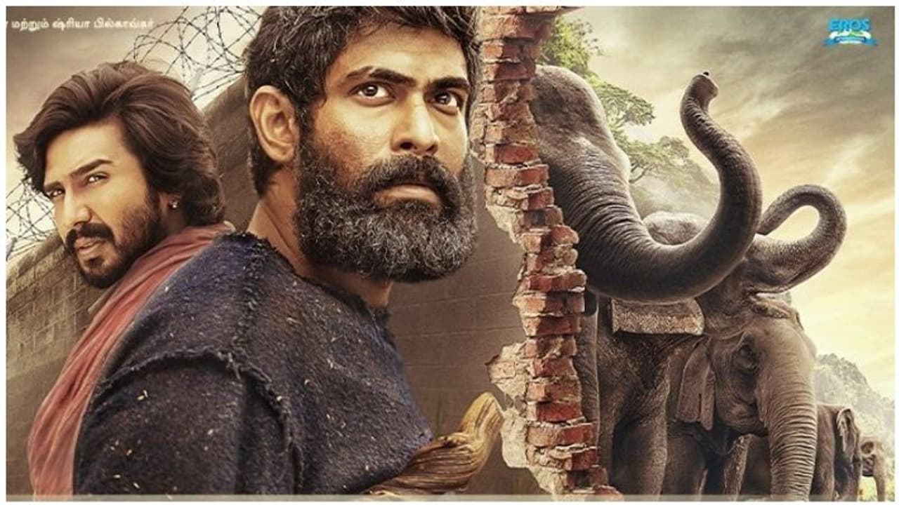 மூன்றே நாட்களில் 'காடன்' பட ட்ரைலர் படைத்த சாதனை! மூன்றே நாட்களில் 'காடன்' பட ட்ரைலர் படைத்த சாதனை!