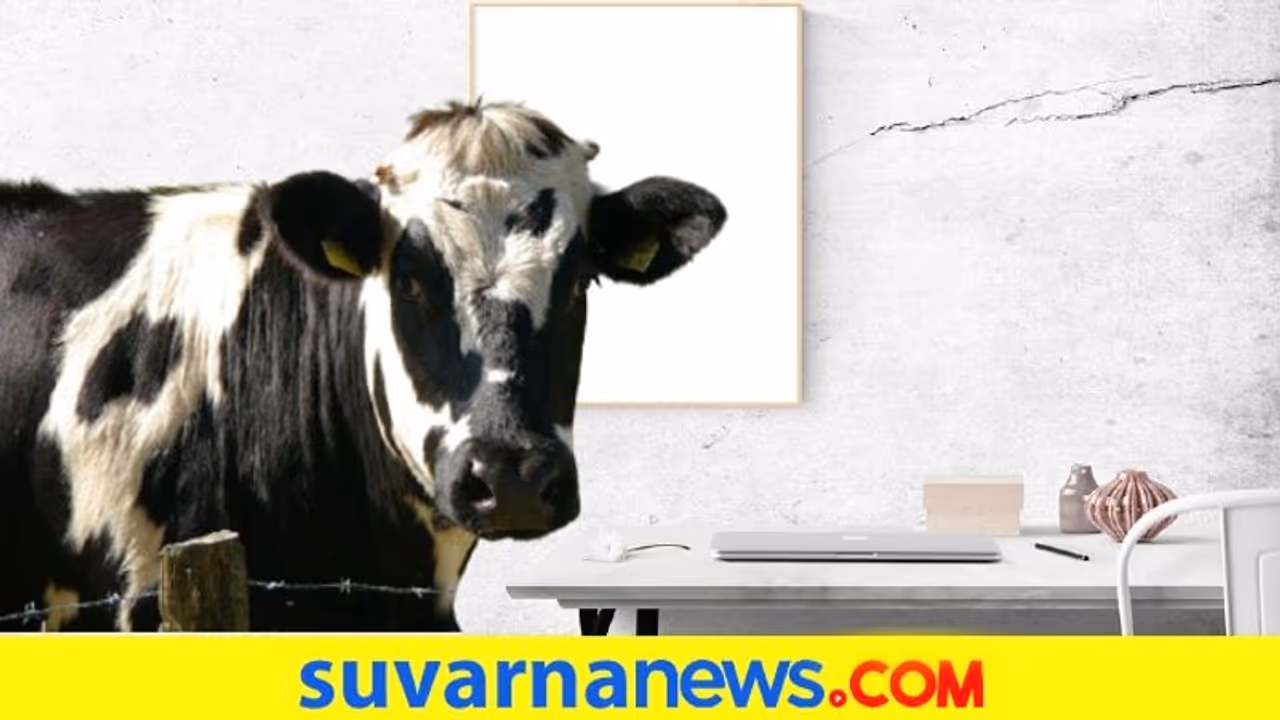 ಮನೆಯಲ್ಲಿ ಯಾವ ಪ್ರಾಣಿಯ ಫೋಟೋ ಎಲ್ಲಿಟ್ಟರೆ ಒಳ್ಳೇದು?