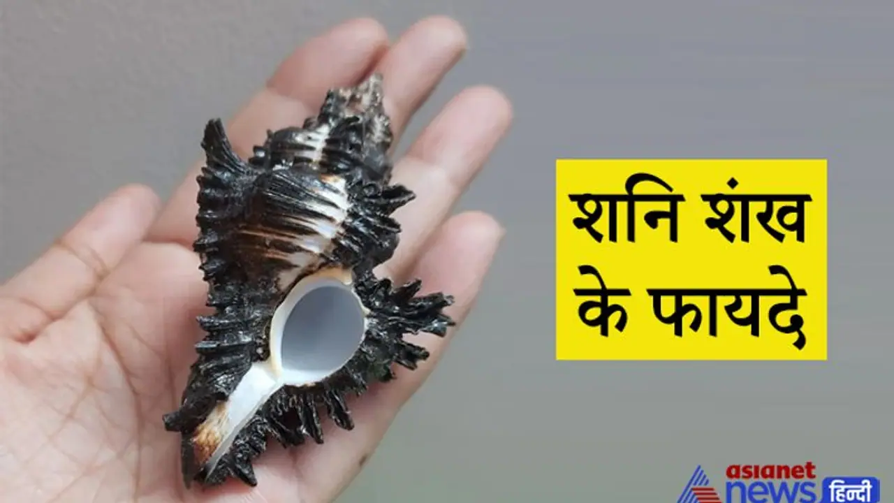 बहुत दुर्लभ होता है ये शंख, इसकी पूजा से दूर होते हैं शनि दोष और घर में बनी रहती है सुख समृद्धि