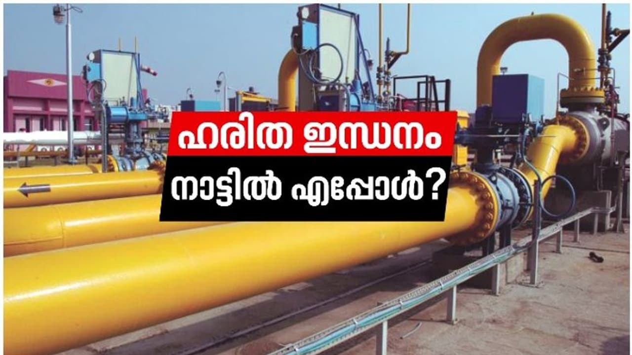 തെക്കൻ കേരളത്തിലേക്കും വൈകാതെ പ്രകൃതിവാതകമെത്തും തെക്കൻ കേരളത്തിലേക്കും വൈകാതെ പ്രകൃതിവാതകമെത്തും