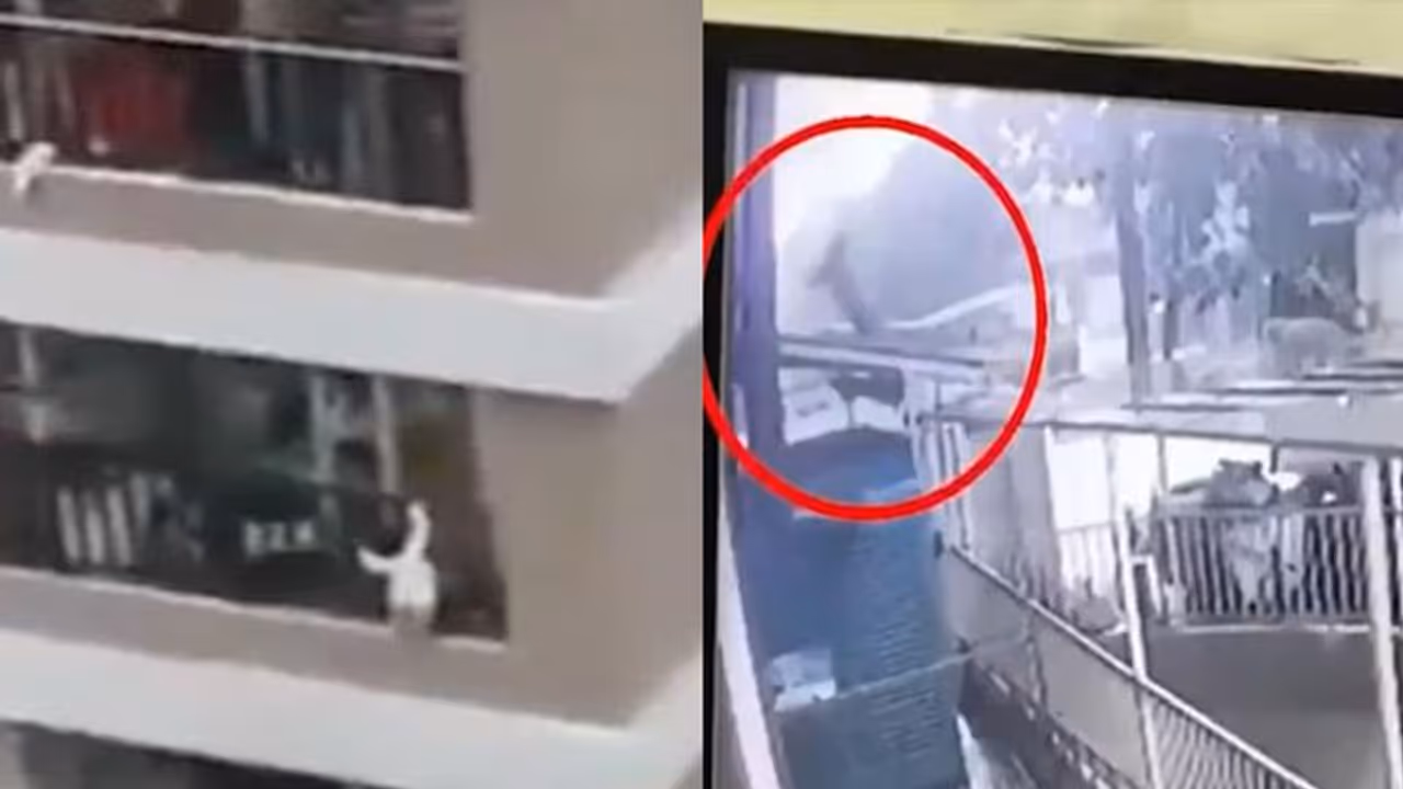 ১২ তলা থেলে পড়ে গিয়েও রক্ষা পেল ২ বছরের মেয়ে, আলৌকিক ঘটনার ভিডিও ভাইরাল ১২ তলা থেলে পড়ে গিয়েও রক্ষা পেল ২ বছরের মেয়ে, আলৌকিক ঘটনার ভিডিও ভাইরাল