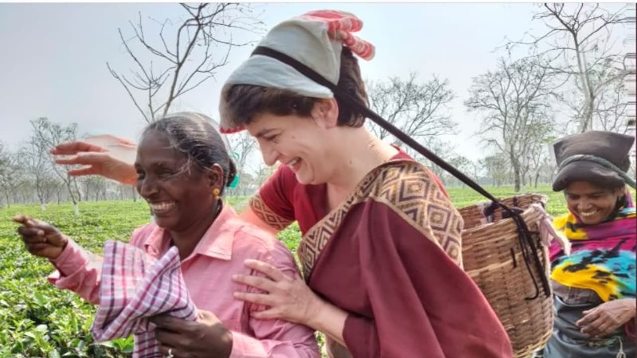 অধীর বনাম অজয় ইস্যুতে এবার মুখ খুললেন প্রিয়াঙ্কা গান্ধী, জোট নিয়ে ব্যাখ্যা দিলেন কংগ্রেস নেত্রী অধীর বনাম অজয় ইস্যুতে এবার মুখ খুললেন প্রিয়াঙ্কা গান্ধী, জোট নিয়ে ব্যাখ্যা দিলেন কংগ্রেস নেত্রী