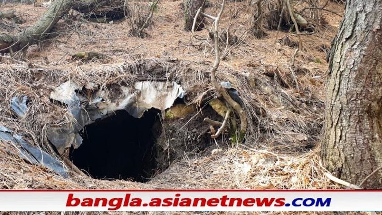 জঙ্গলের মধ্যে কৃত্রিম গুহা, জঙ্গিদের গোপন আস্তানা গুঁড়িয়ে দিল নিরাপত্তা বাহিনী জঙ্গলের মধ্যে কৃত্রিম গুহা, জঙ্গিদের গোপন আস্তানা গুঁড়িয়ে দিল নিরাপত্তা বাহিনী