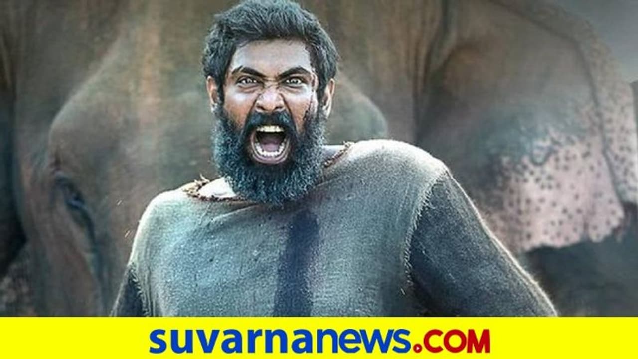 ಕಾಡನ್ ಟ್ರೈಲರ್ ಬಿಡುಗಡೆ: ಹೊಸ ಅವತಾರದಲ್ಲಿ ರಾಣಾ ದಗ್ಗುಬಾಟಿ ಕಾಡನ್ ಟ್ರೈಲರ್ ಬಿಡುಗಡೆ: ಹೊಸ ಅವತಾರದಲ್ಲಿ ರಾಣಾ ದಗ್ಗುಬಾಟಿ