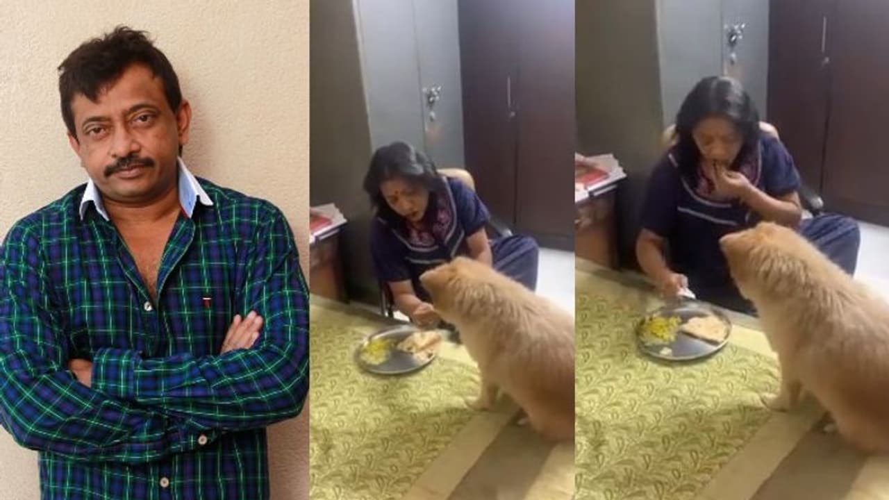 హైదరాబాద్‌ మేయర్‌పై ఆర్‌జీవీ సంచలన కామెంట్‌.. వచ్చే జన్మలో కుక్కలాగా పుట్టాలనుందట..