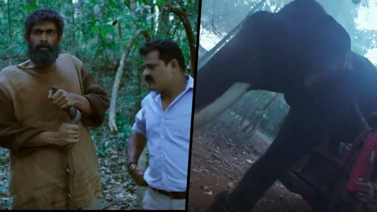 Haathi Mere Saathi Trailer Review: Rana Daggubati struggles to save elephants; film to be an emotional treat