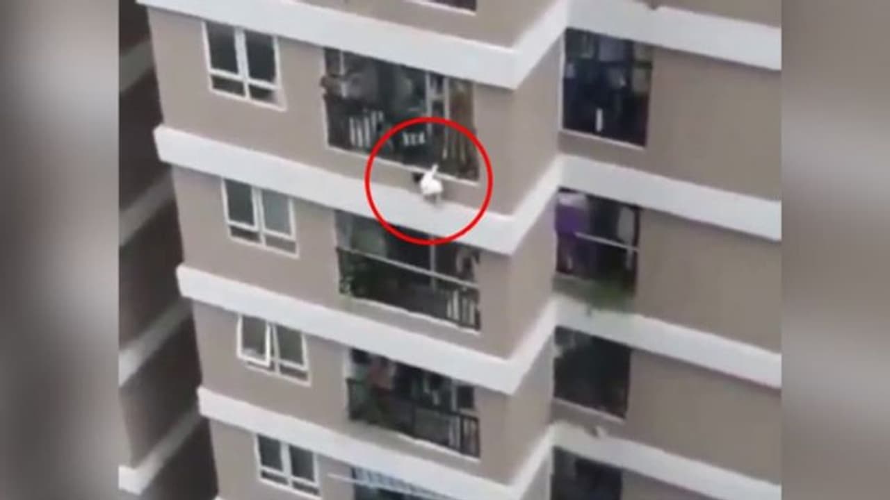 12ാം നിലയിൽ നിന്ന് താഴേക്ക് വീണ കുഞ്ഞിനെ സാഹസികമായി രക്ഷിച്ച് ഡെലിവറി ഡ്രൈവർ 12ാം നിലയിൽ നിന്ന് താഴേക്ക് വീണ കുഞ്ഞിനെ സാഹസികമായി രക്ഷിച്ച് ഡെലിവറി ഡ്രൈവർ