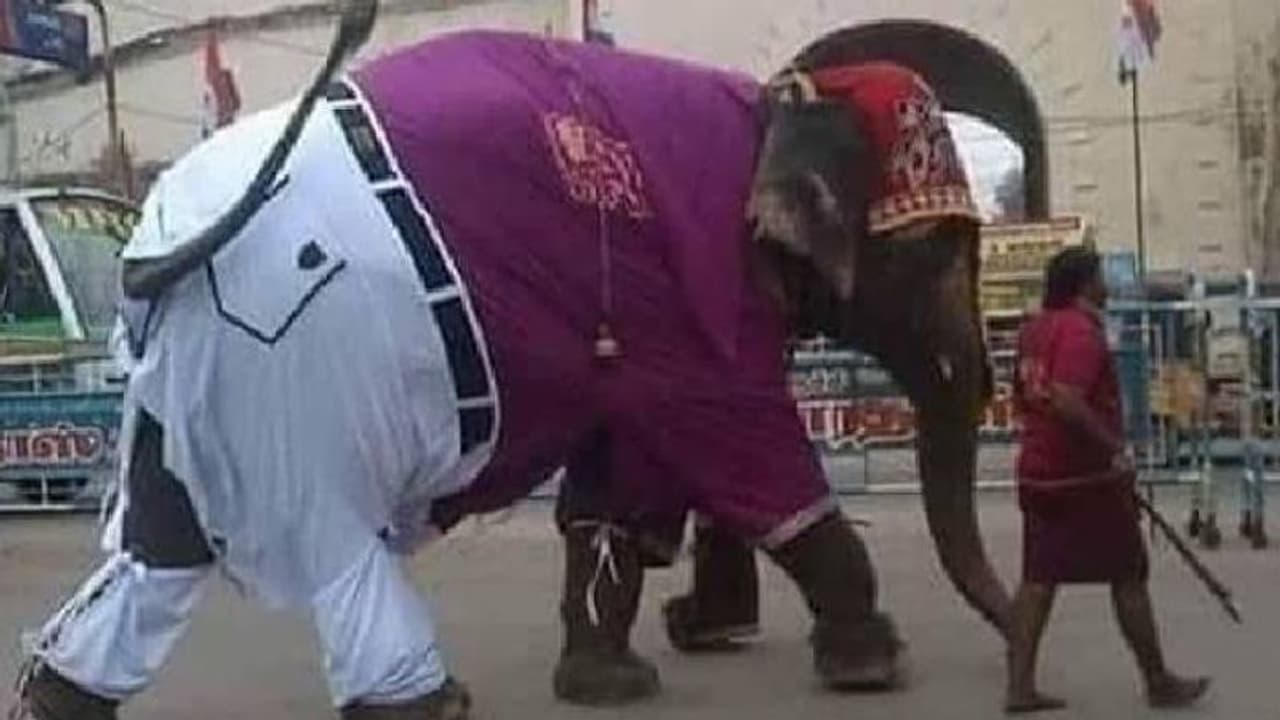 പാന്‍റ്സും ഷർട്ടുമണിഞ്ഞ് ഫ്രീക്കനായി ആന; വൈറലായി ട്വീറ്റ്!